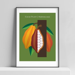 Modern cacao plant art poster for the home, office, kitchen – chocolate poster, chocolate art, botanical print, cacao art, chocolate print