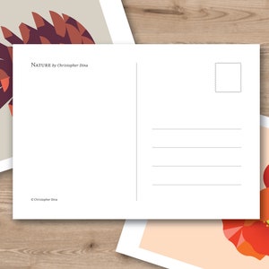 May include: A postcard with a geometric design of a pine cone on the front and a blank space for writing on the back. The text on the front reads "PINE CONE | pinus pinea" and "NATURE by Christopher Dina".