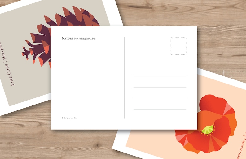 May include: A postcard with a geometric design of a pine cone on the front and a blank space for writing on the back. The text on the front reads "PINE CONE | pinus pinea" and "NATURE by Christopher Dina".