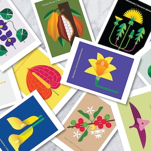 Charmant lot de 10 cartes postales colorées de fleurs et de plantes à envoyer ou à exposer, une excellente idée cadeau ; jeu de cartes postales, art floral, impression de nature