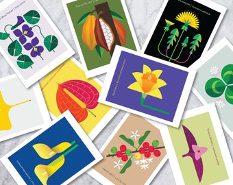 Charming set of 10 colorful Flower and Plant Postcards for mailing or displaying, a great gift idea; postcard set, flower art, nature print