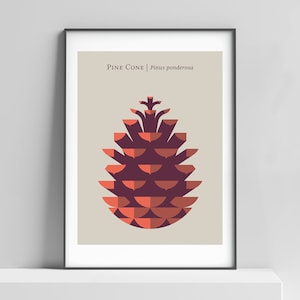 Modern Pine Cone art print poster for your home living space. Modern nature print, pinecone decor, modern botanical, pine cone wall art