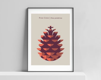 Modern Pine Cone art print poster for your home living space. Modern nature print, pinecone decor, modern botanical, pine cone wall art