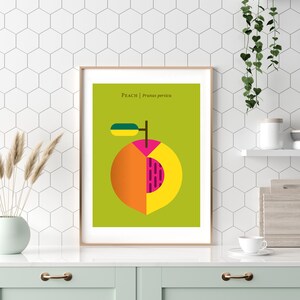 May include: A minimalist poster with a green background featuring a stylized peach with a pink, orange, and yellow interior. The text "PEACH | Prunus persica" is at the top of the poster.