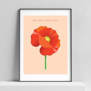 Red Poppy modern art print for the home, kitchen or kids room. poppy print, poppies , contemporary floral, flower print, red poppy art