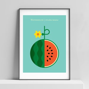 Modern watermelon art print for the home,office, kids room. Botanical print, watermelon poster, modern kitchen art, modern fruit wall decor