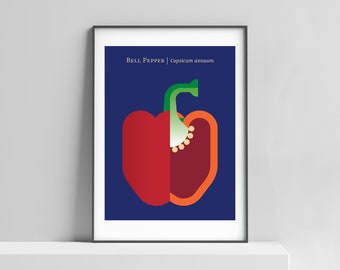 Contemporary bell pepper kitchen art print. Vegetable print, food illustration, modern food art for kitchen, vegetable wall art, red pepper