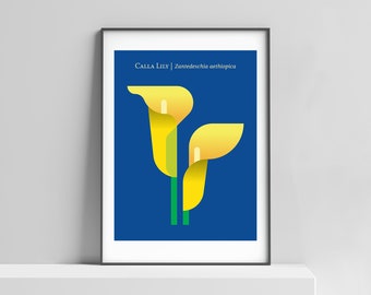 Calla Lily modern flower art print for the home, office; flower poster, botanical floral, lily art print, japandi wall art, lily wall decor
