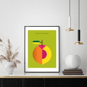 May include: A green, yellow, orange, and pink geometric illustration of a peach with the text "Peach | Prunus persica" above the peach.