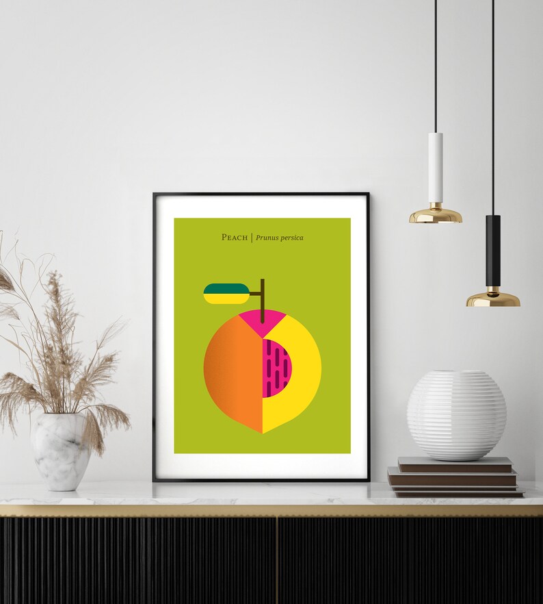 May include: A green, yellow, orange, and pink geometric illustration of a peach with the text "Peach | Prunus persica" above the peach.
