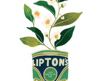 Liptons Green Tea Plant Vintage Tin (Fine Art Print)