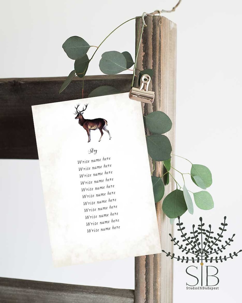 Woodland Animal Seating cards Editable Woodland Seating Plan animal forest Table Assignment Card Hanging Table Cards template