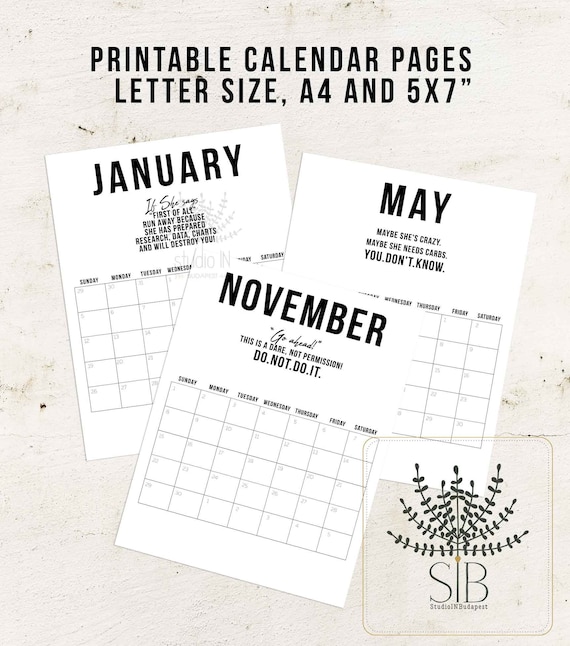 2020 Calendar Printable Desk Calendar 12 Months Funny Etsy