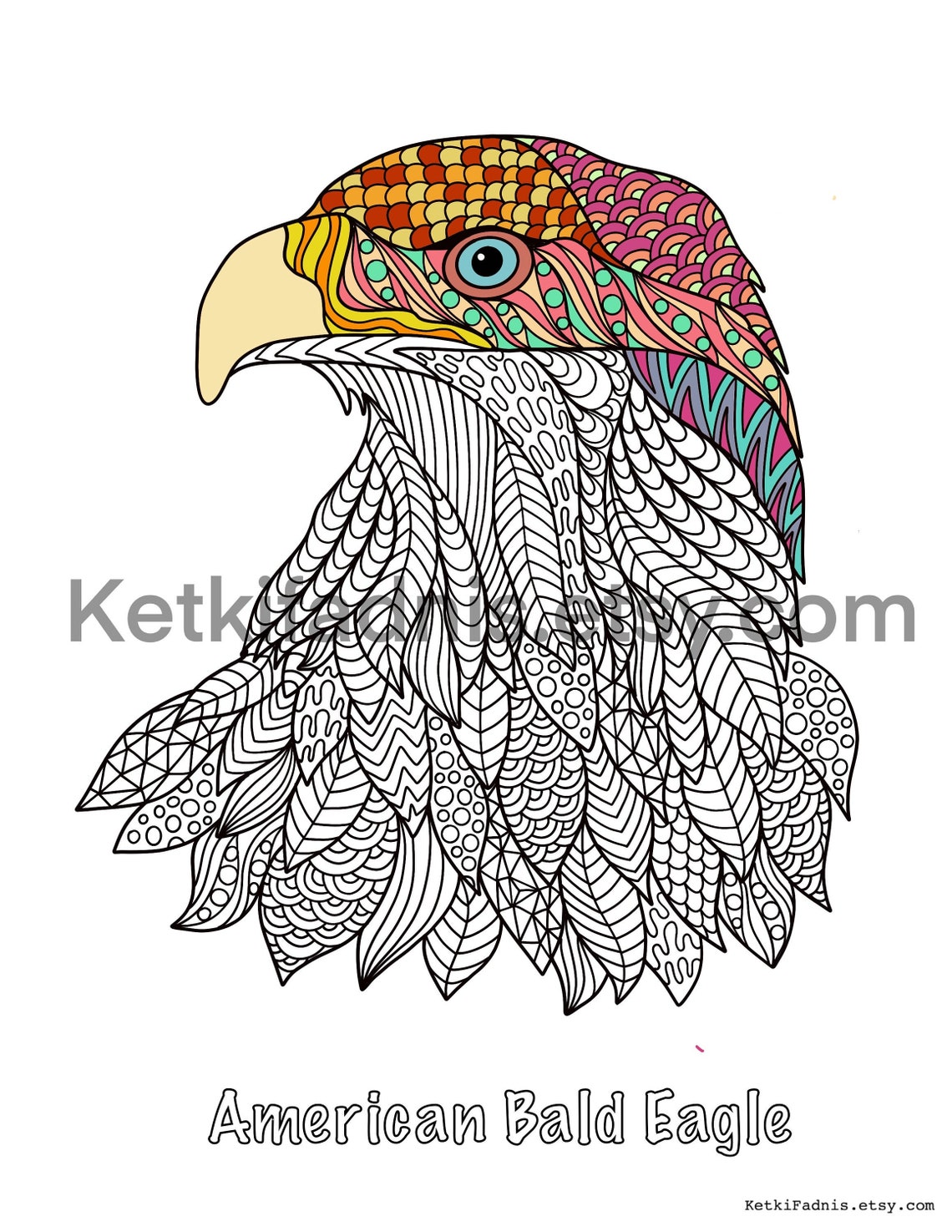 American Bald Eagle Coloring Page Bird Coloring Page PDF - Etsy