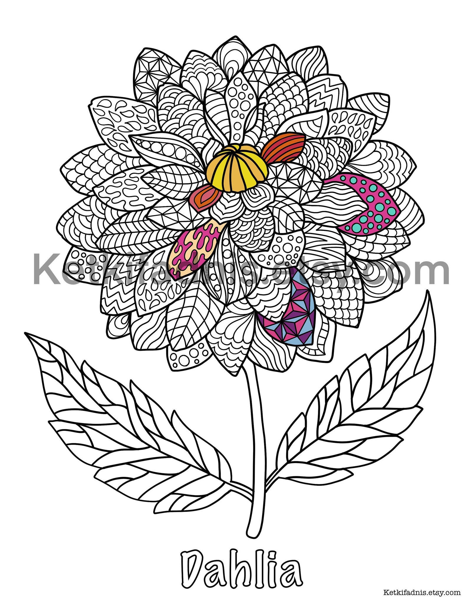 Dahlia Coloring Page Flower Coloring Page PDF Download - Etsy