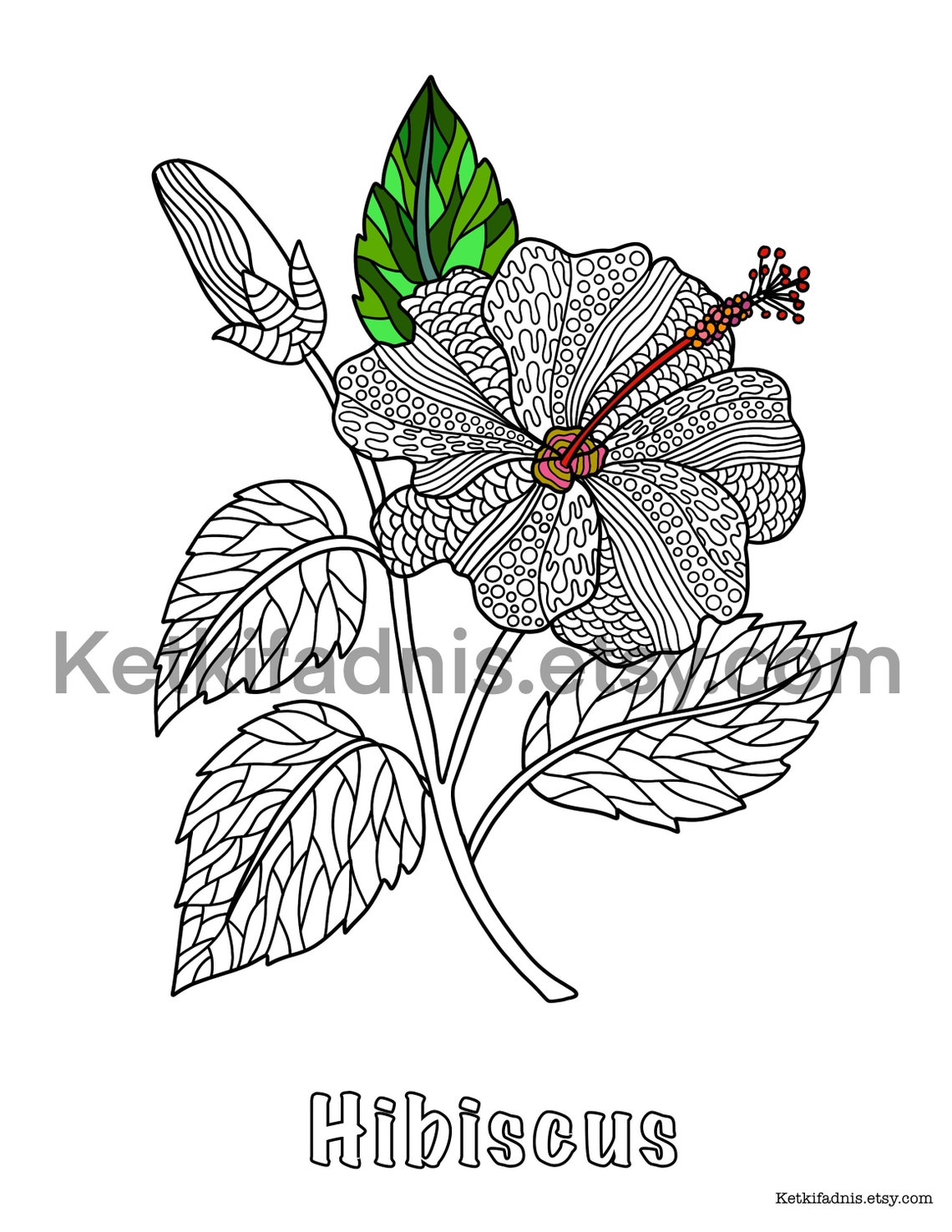 Hibiscus Flower Coloring Page Flower Coloring Page PDF - Etsy