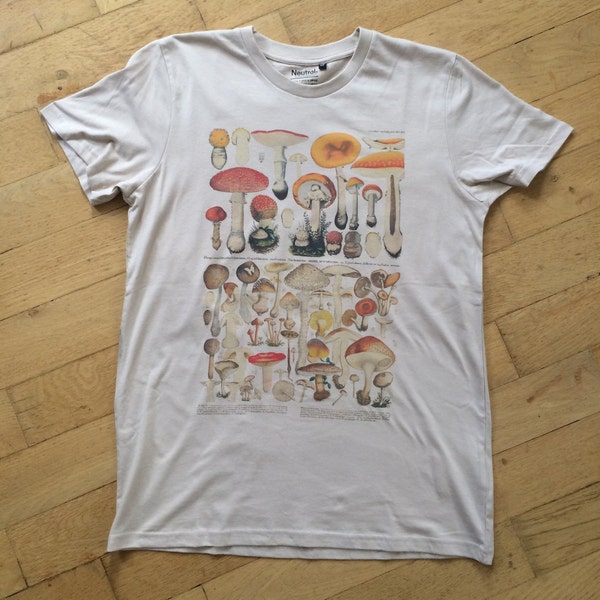 Men's Organic T-shirt Vintage Mushrooms Illustration