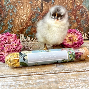 May include: A glass tube filled with dried herbs and a cork top. The tube is labeled "NESTING BOX HERBS PREMIUM BLEND" with a floral design. A small, fluffy, gray chick is standing behind the tube.