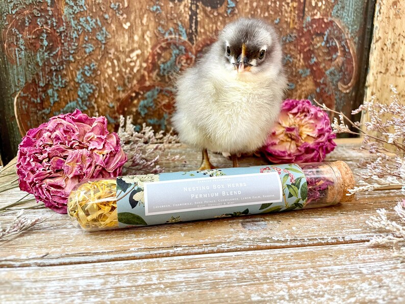 May include: A glass tube filled with dried herbs and a cork top. The tube is labeled "NESTING BOX HERBS PREMIUM BLEND" with a floral design. A small, fluffy, gray chick is standing behind the tube.