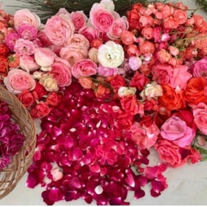 Pu&ograve; includere: Una collezione di petali e fiori di rosa rosa, rossi e bianchi. I petali sono sparsi su una superficie bianca. I fiori sono disposti in un bouquet.