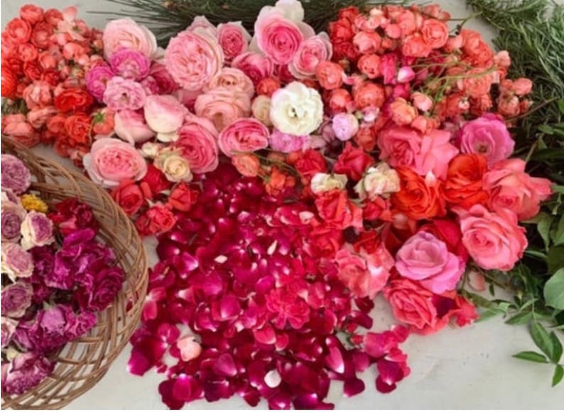 Pu&ograve; includere: Una collezione di petali e fiori di rosa rosa, rossi e bianchi. I petali sono sparsi su una superficie bianca. I fiori sono disposti in un bouquet.