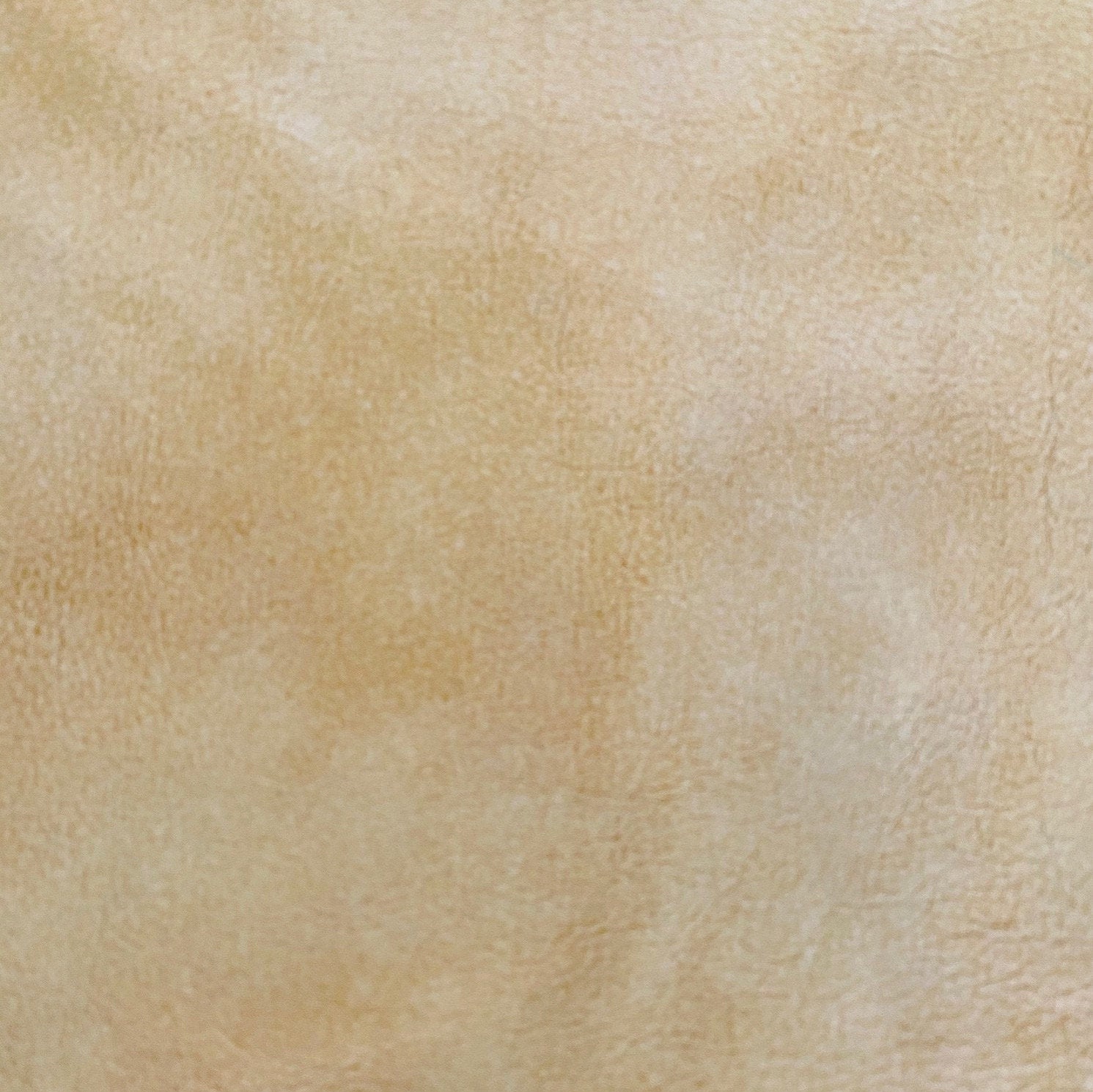 iphone pouch for backpack strap