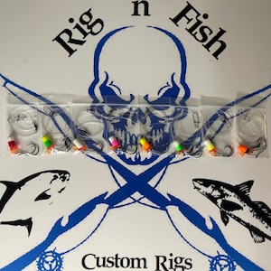 May include: A set of six fishing rigs with clear lines, orange and white beads, and hooks. The rigs are packaged in clear plastic bags. The image includes the text "Rig n Fish Custom Rigs".