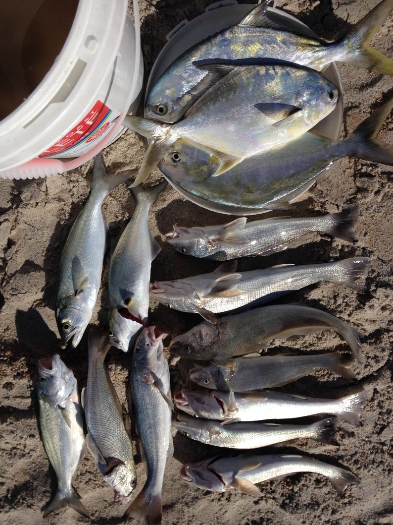 8 Hilow Surf Fishing Float Rigs for Pompano, Whitingkingfish, Snappers