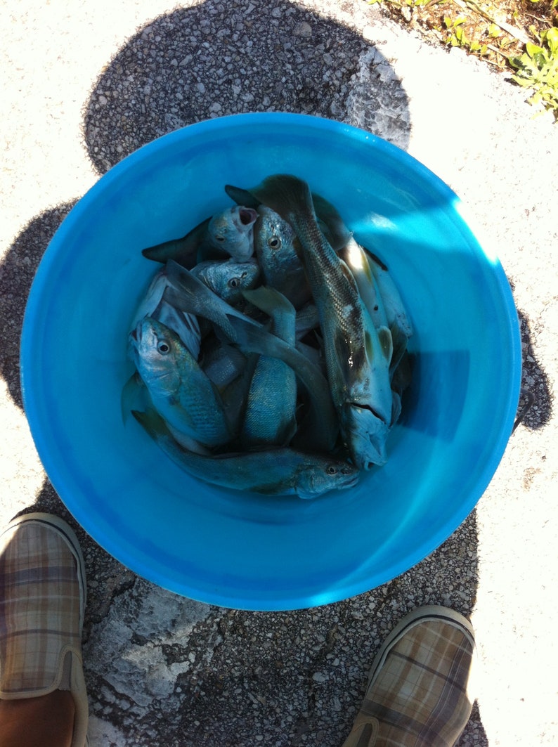 8 Hilow Surf Fishing Float Rigs for Pompano, Whitingkingfish, Snappers