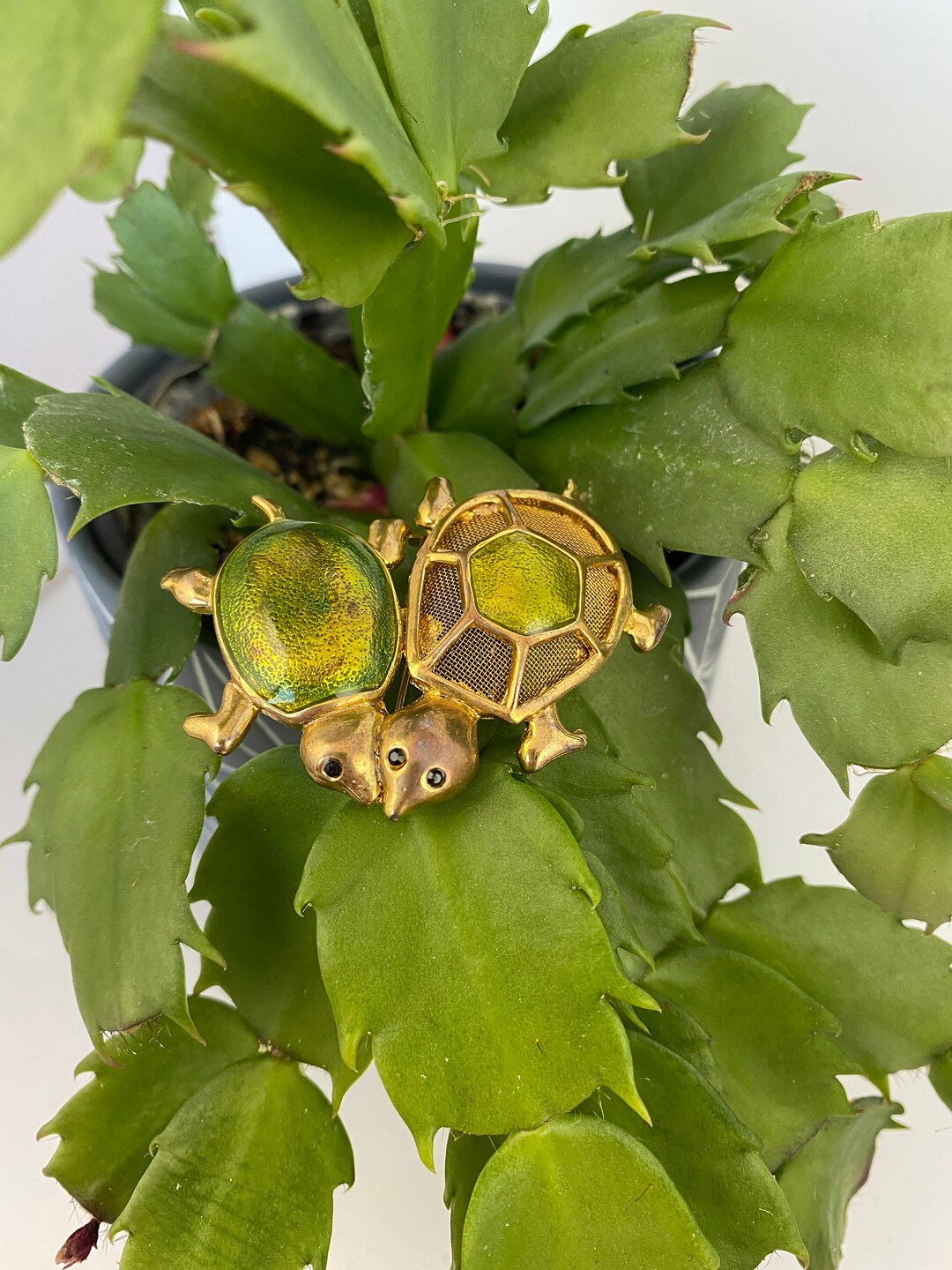 Turtle Brooch, KC Two Turtle Pin - Etsy