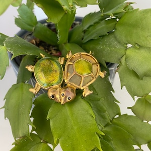 Turtle Brooch, KC Two Turtle Pin