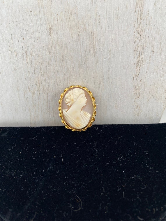 Stone Carved Cameo Brooch. Oval Cameo Pin