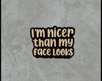 107 Nicer Than My Face Looks | Humorous | Sarcastic Pins | Brooches