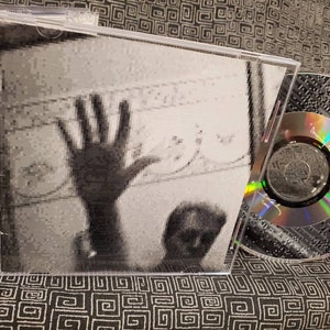 Paul McCartney CD  Driving Rain  Wings and Beatles Singer - 2001