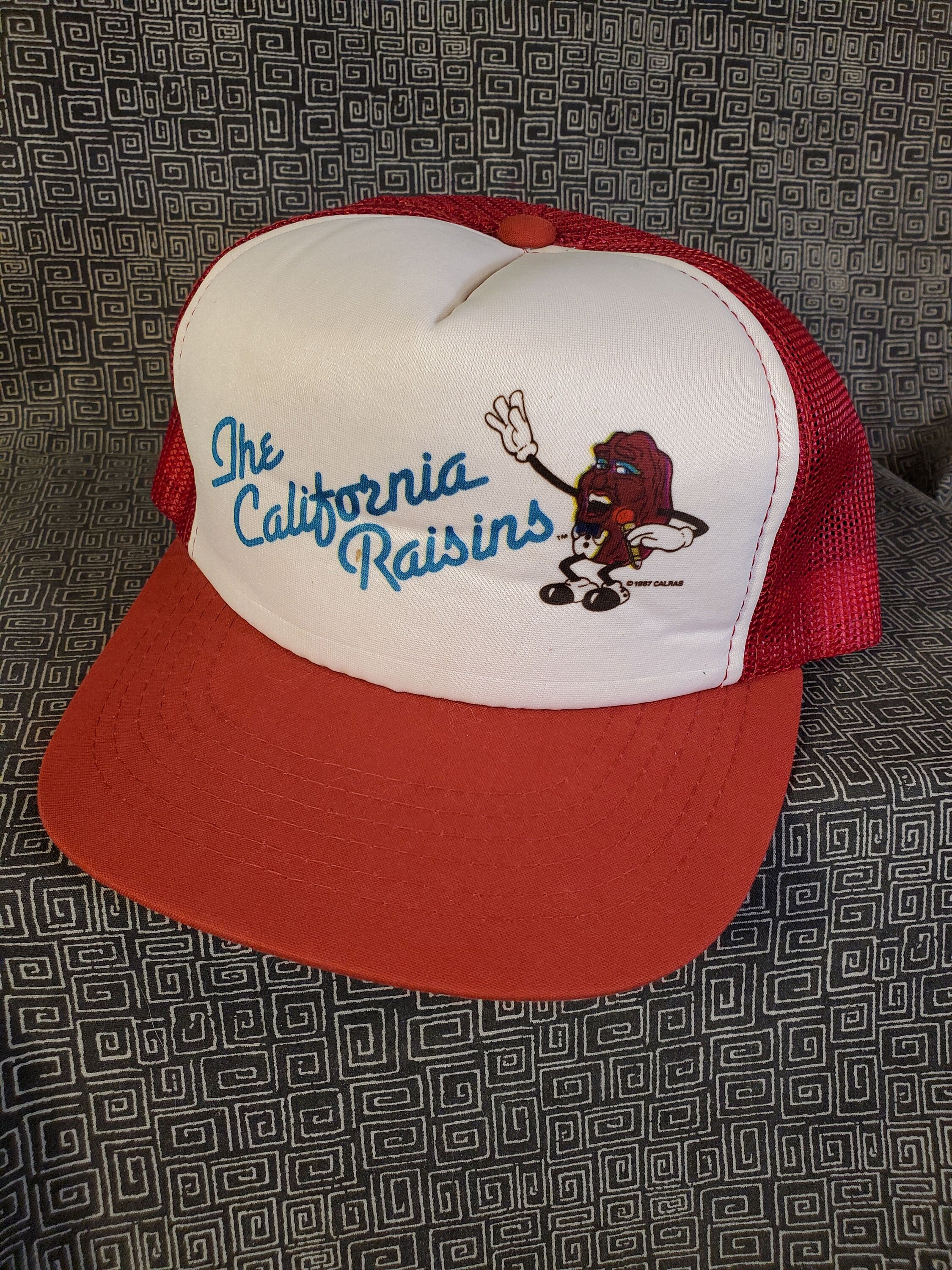 Vintage Louisville Cardinals Youngan Bar Script SnapBack Hat Cap Pioneer