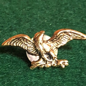 Brass Eagle Plaque pin - - lapel pin - eagle - liberty - freedom - bird - thunderbird - mocking jay - wings - flight - gold