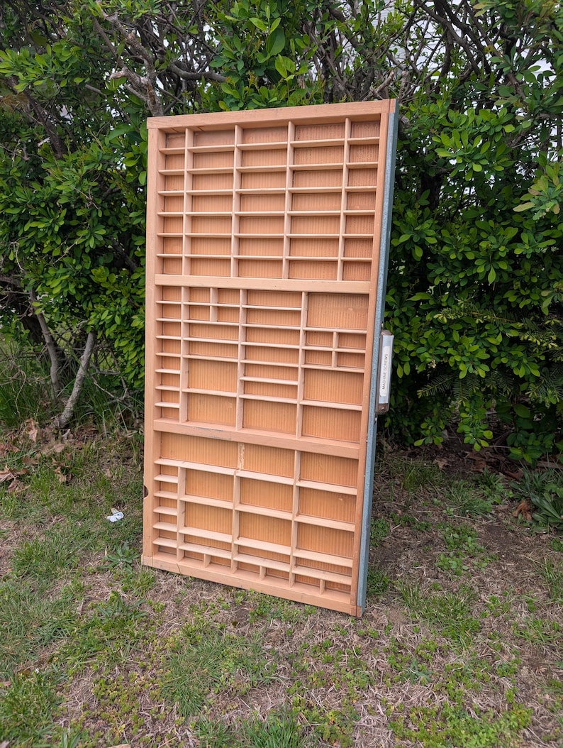 May include: A large, rectangular wooden display case with numerous small compartments. The case is made of light-colored wood and has a grid-like structure. The case is leaning against a backdrop of green foliage and grass.