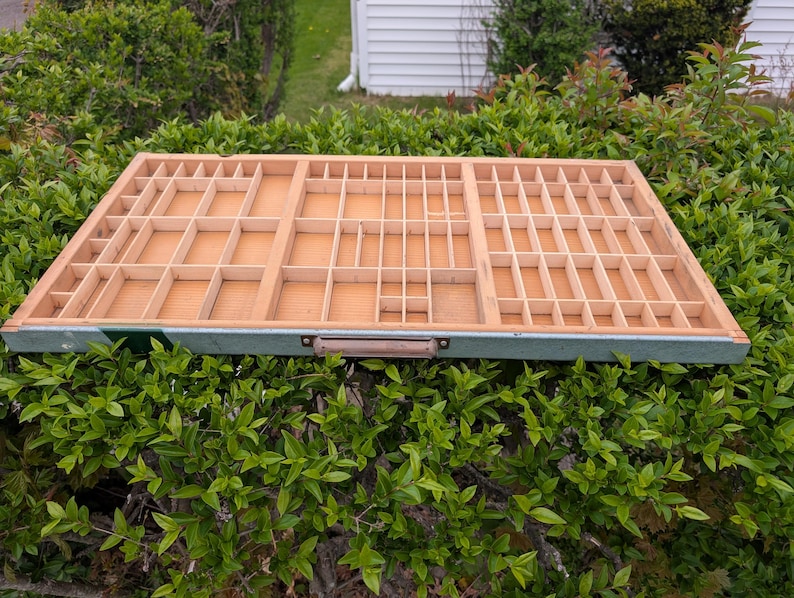 May include: A rectangular wooden printer's tray with numerous small compartments. The tray has a light brown interior and a green and brown border. A small handle is attached to the front. The tray is set against a backdrop of green foliage.