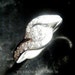 see more listings in the Custom Engagement Rings  section