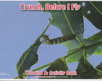 Crunch, Before I Fly