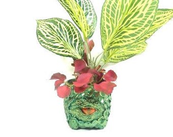 1 piccolo drago fioriere verde drago verde dono drago drago drago occhio drago scala Dragon Planter piantatore interno vaso planter