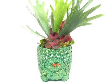 1 Medium Dragon Planter Green Dragon Regalo Drago Drago Drago Occhio Drago Scala Dragon Planter Piantatore Indoor Vaso Planter