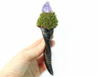 May include: A dark brown, twisted, horn-shaped object with a green moss and purple crystal top.