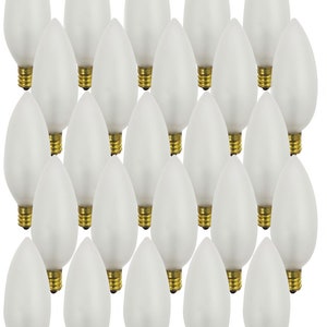 May include: Twenty-four frosted white light bulbs with a standard screw base.