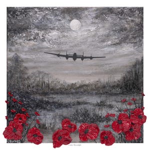 Pode incluir: Uma pintura em preto e branco de um avião bombardeiro voando sob uma lua cheia. O avião está silhutado contra um céu nublado. A pintura é emoldurada por uma borda de papoulas vermelhas.