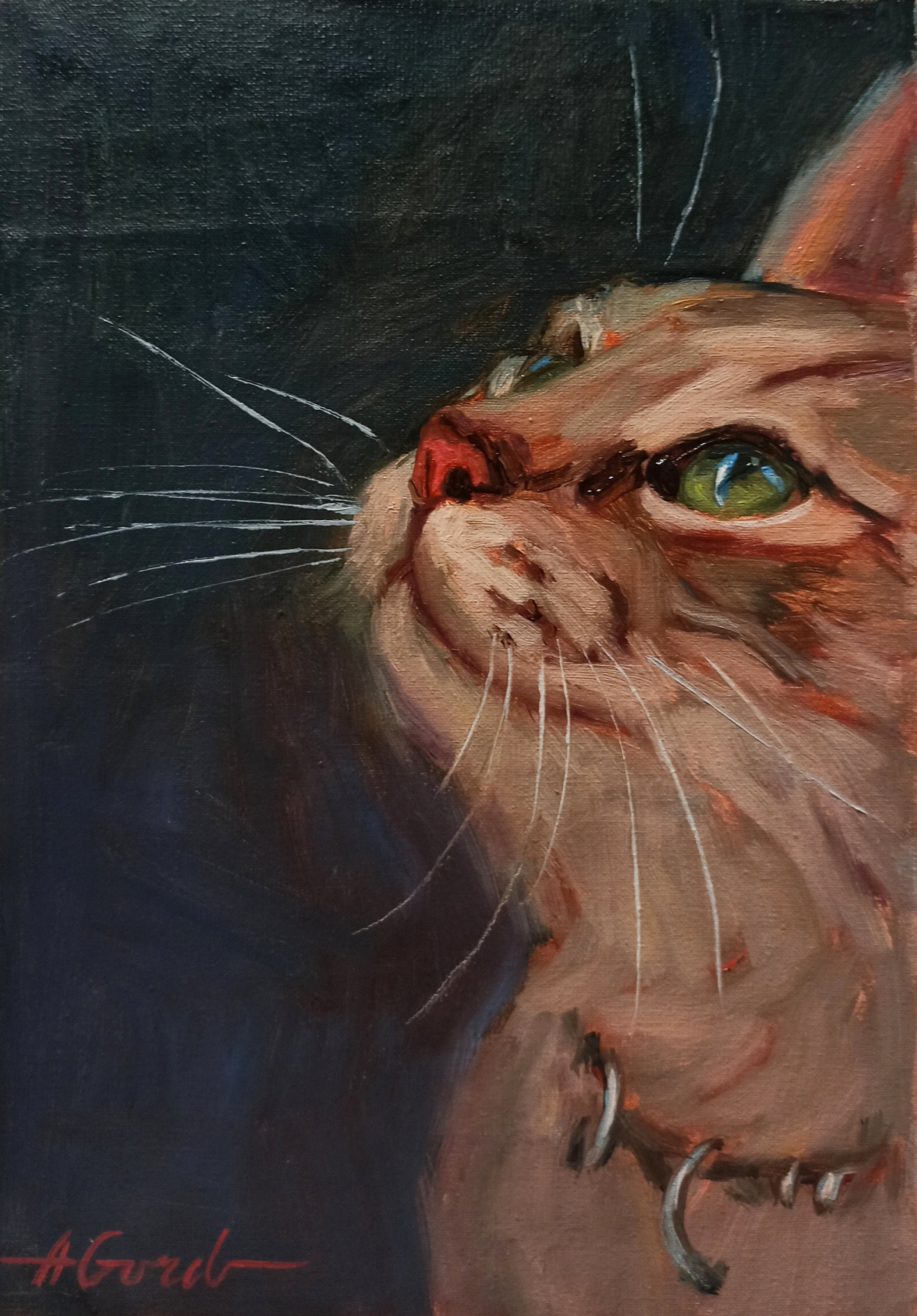 Cat Portrait Original Oil Painting on Canvas Pets Portrait Etsy UK