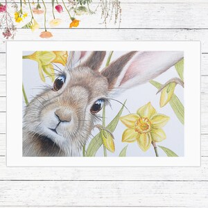May include: A close-up of a brown rabbit with large, dark eyes looking directly at the viewer. The rabbit is surrounded by yellow daffodils and green foliage.