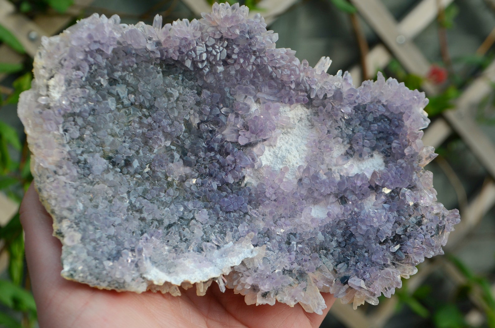 Large Amethyst Flower cluster from Brazil Etsy