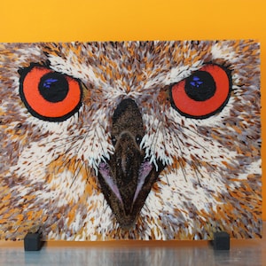 Fused Glass Owl Art