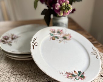 Antique Moss Rose Ironstone Plates-Cook & Hancock Moss Rose Plates- Cook and Hancock Ironstone Plates- Set of 4 Moss Rose Ironstone Plates